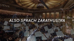 strauss promo 3