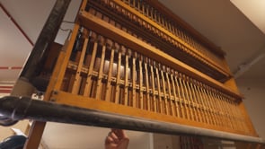 organ 3